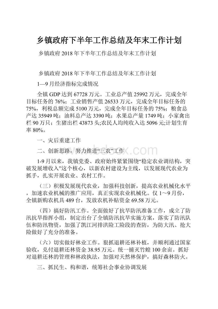 乡镇政府下半年工作总结及年末工作计划Word格式.docx