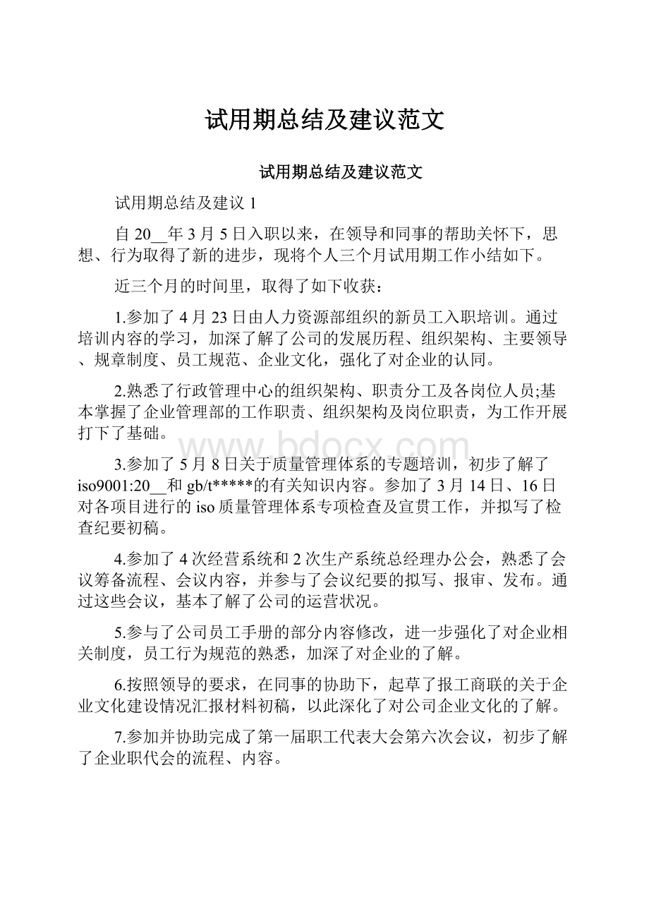 试用期总结及建议范文Word格式.docx