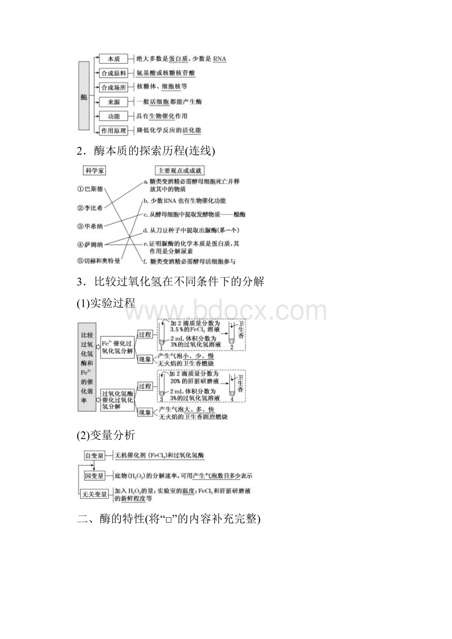 新课改专用版高考一轮复习第三单元第一讲降低化学反应活化能的酶讲义生物 解析版Word文档格式.docx_第2页