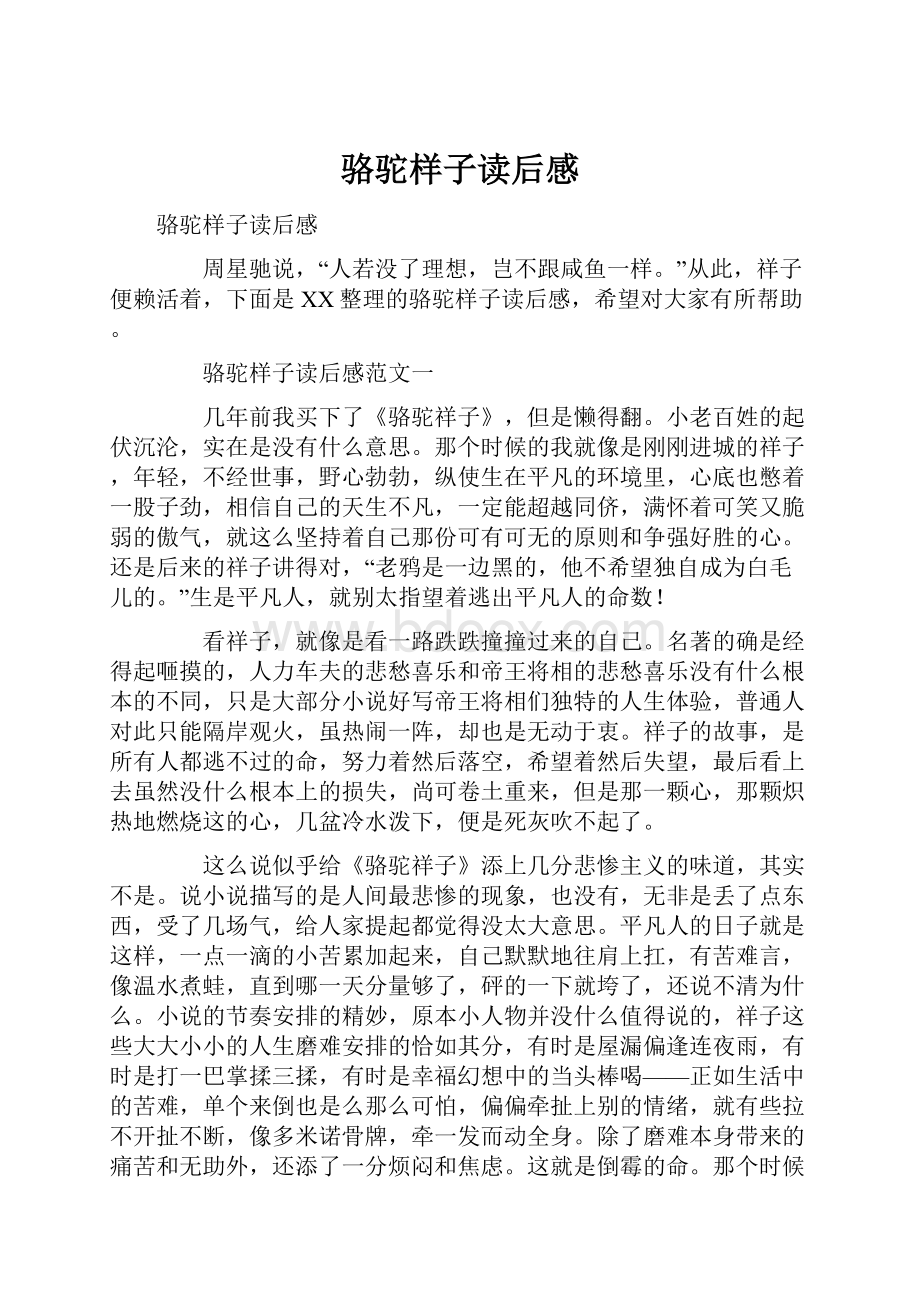 骆驼样子读后感Word下载.docx_第1页