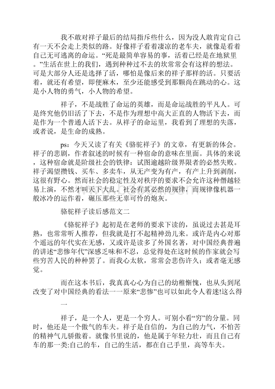 骆驼样子读后感Word下载.docx_第3页