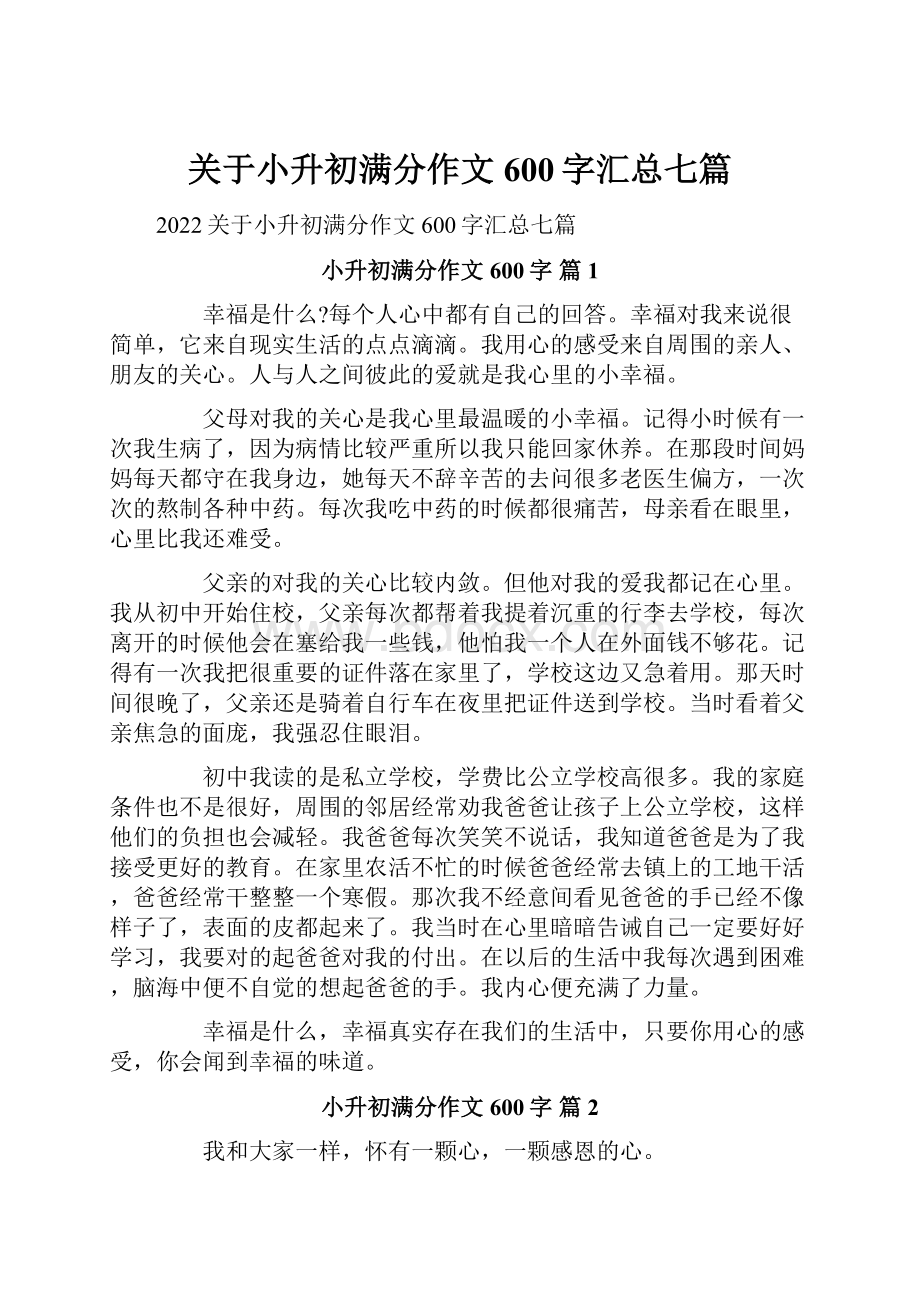 关于小升初满分作文600字汇总七篇文档格式.docx