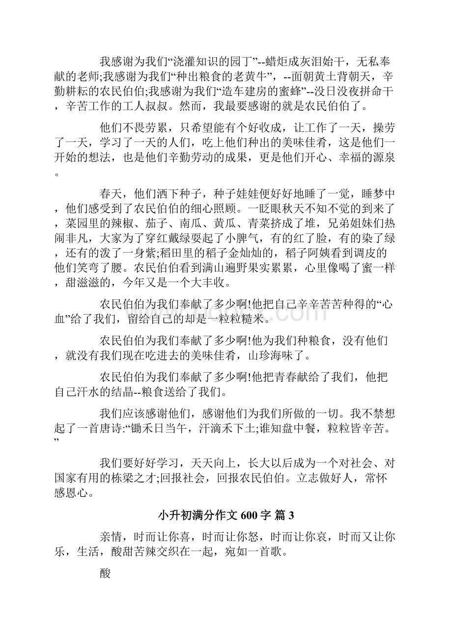 关于小升初满分作文600字汇总七篇文档格式.docx_第2页