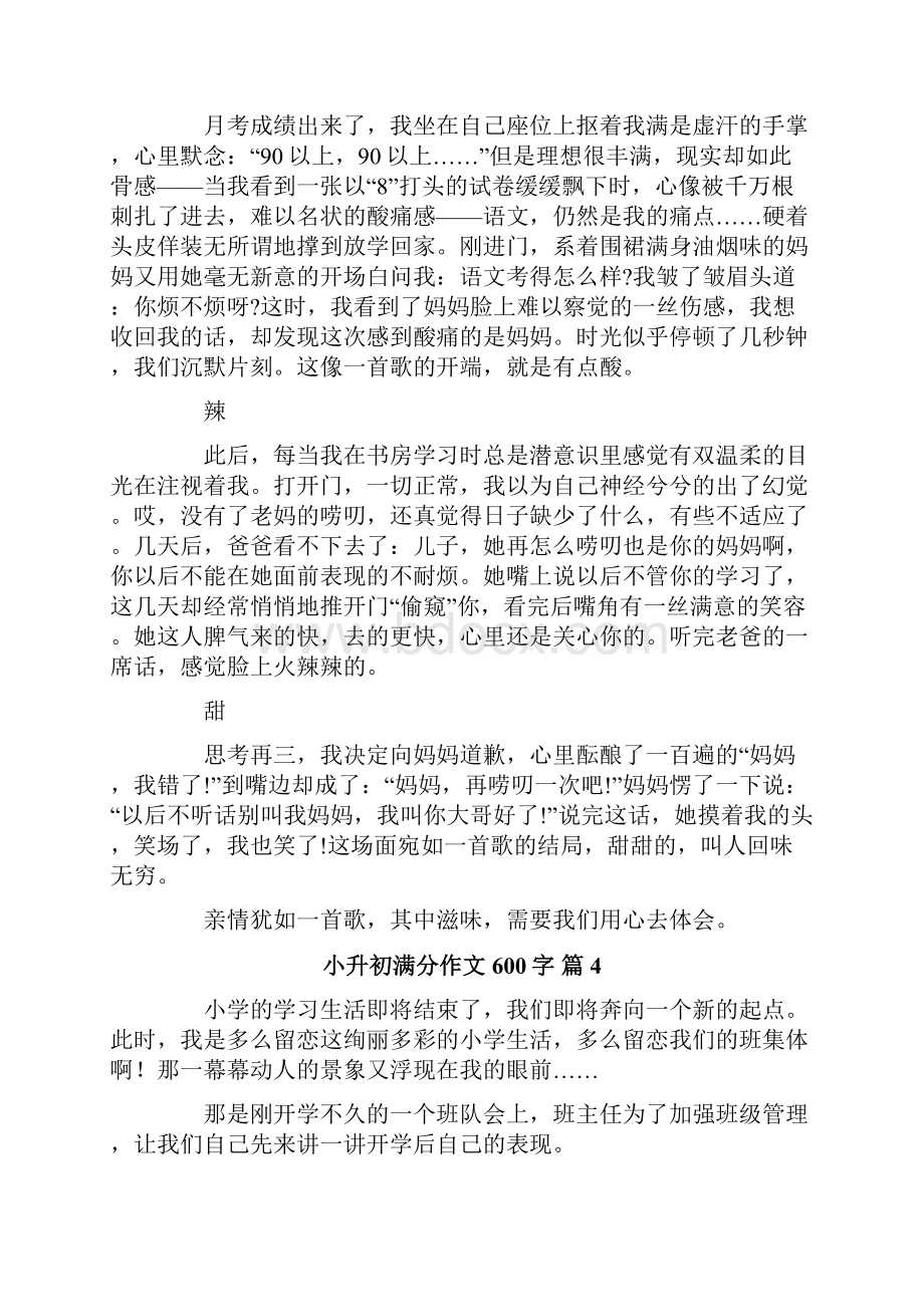 关于小升初满分作文600字汇总七篇文档格式.docx_第3页