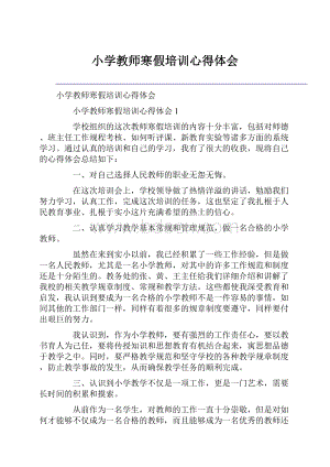 小学教师寒假培训心得体会.docx