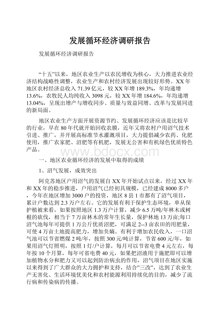 发展循环经济调研报告Word文档下载推荐.docx