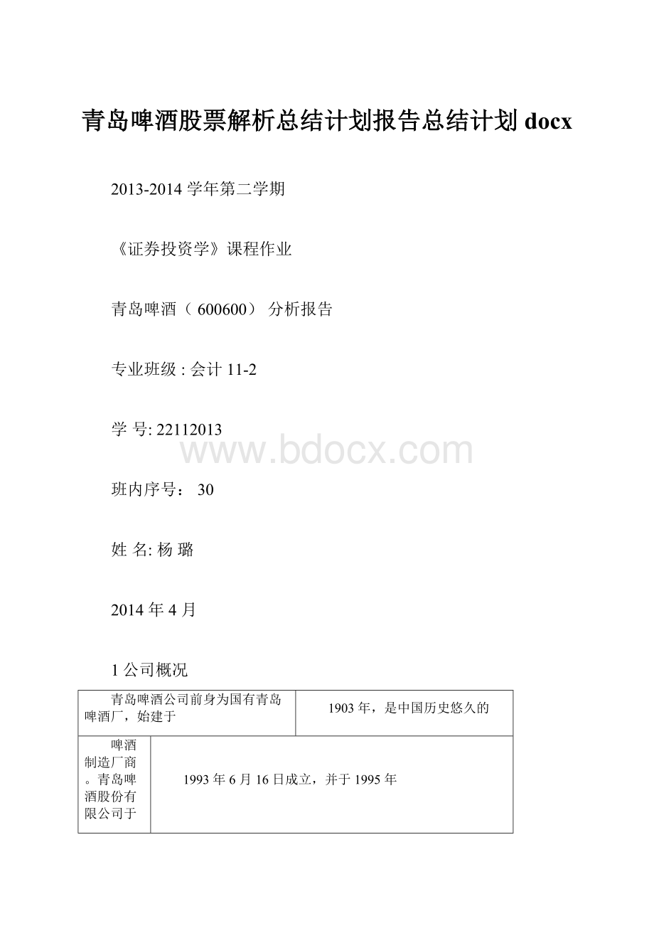 青岛啤酒股票解析总结计划报告总结计划docx.docx_第1页