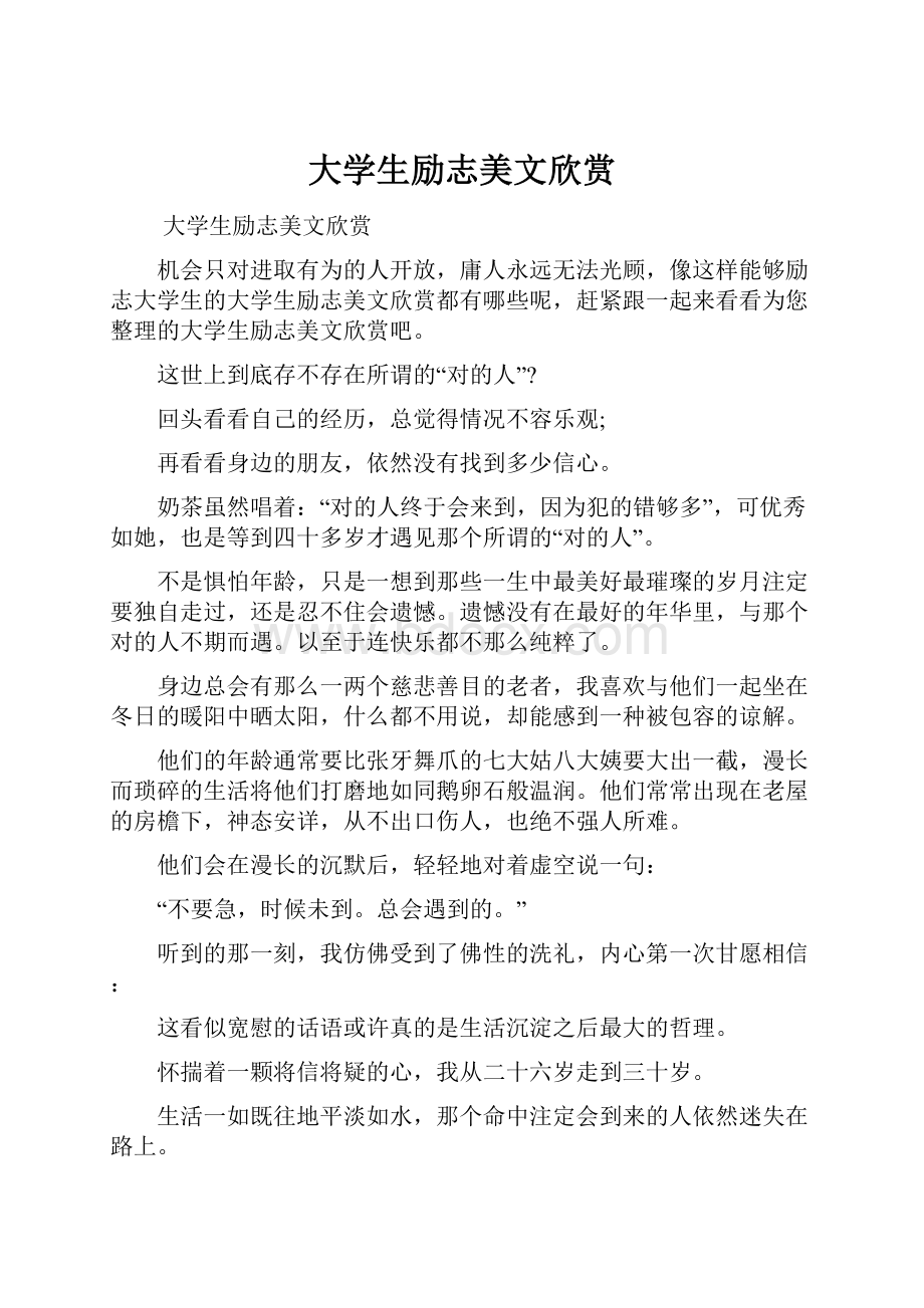 大学生励志美文欣赏文档格式.docx