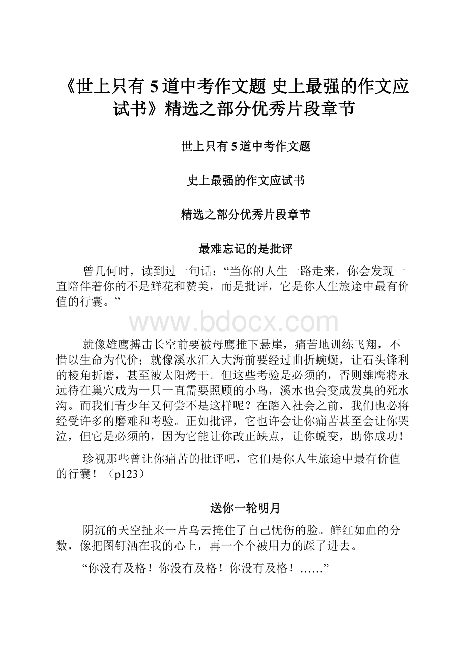 《世上只有5道中考作文题史上最强的作文应试书》精选之部分优秀片段章节.docx