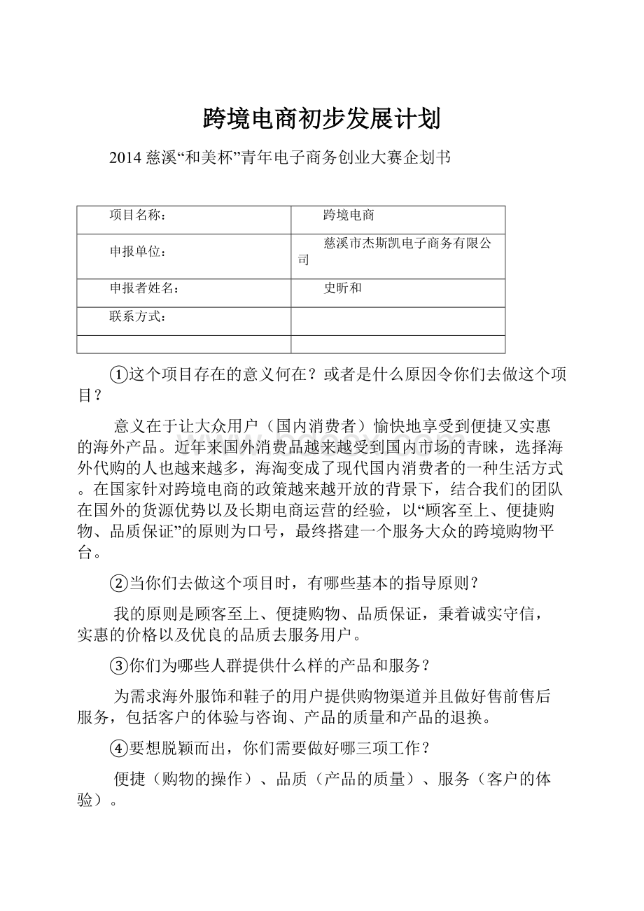 跨境电商初步发展计划.docx