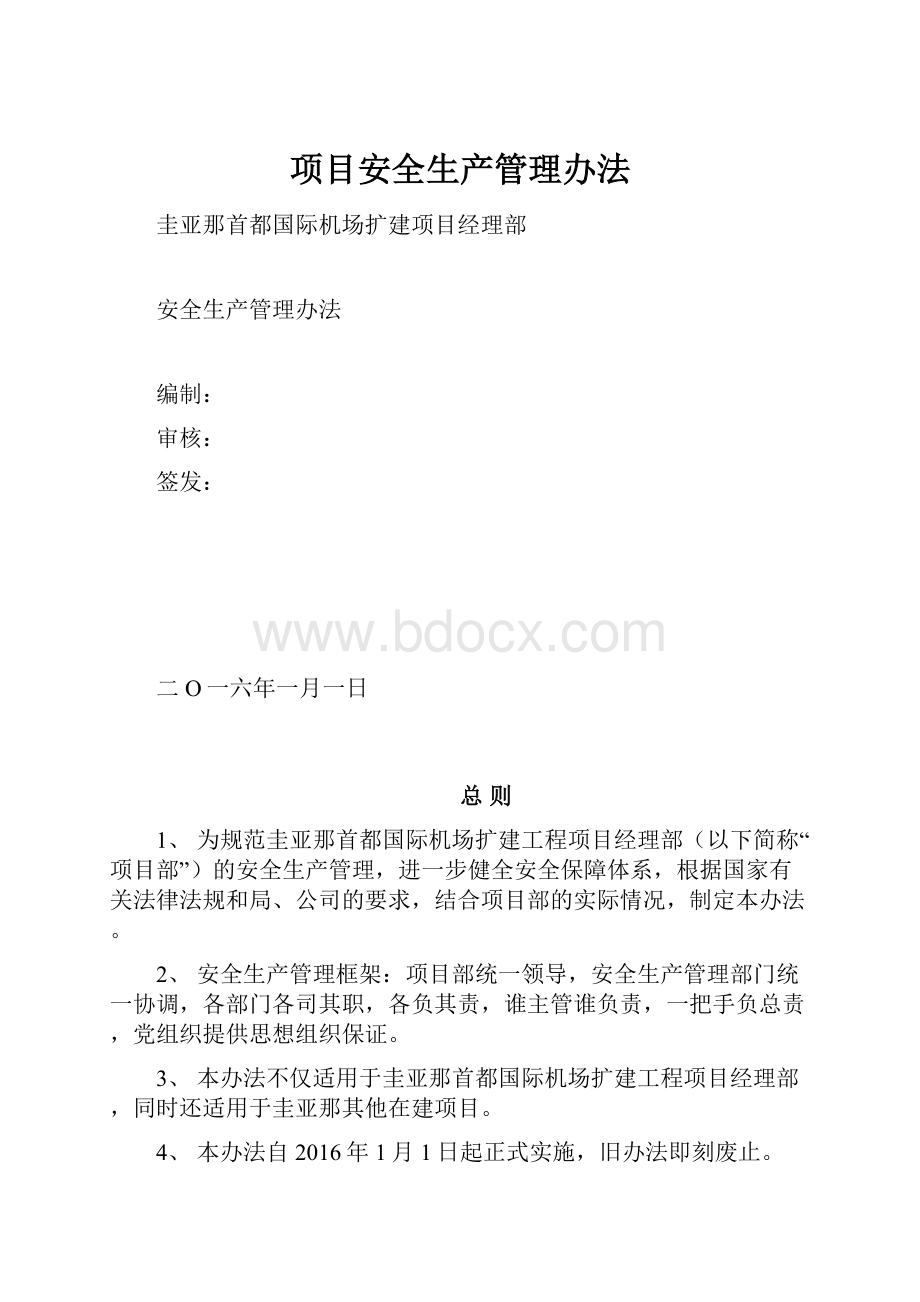 项目安全生产管理办法Word文档格式.docx