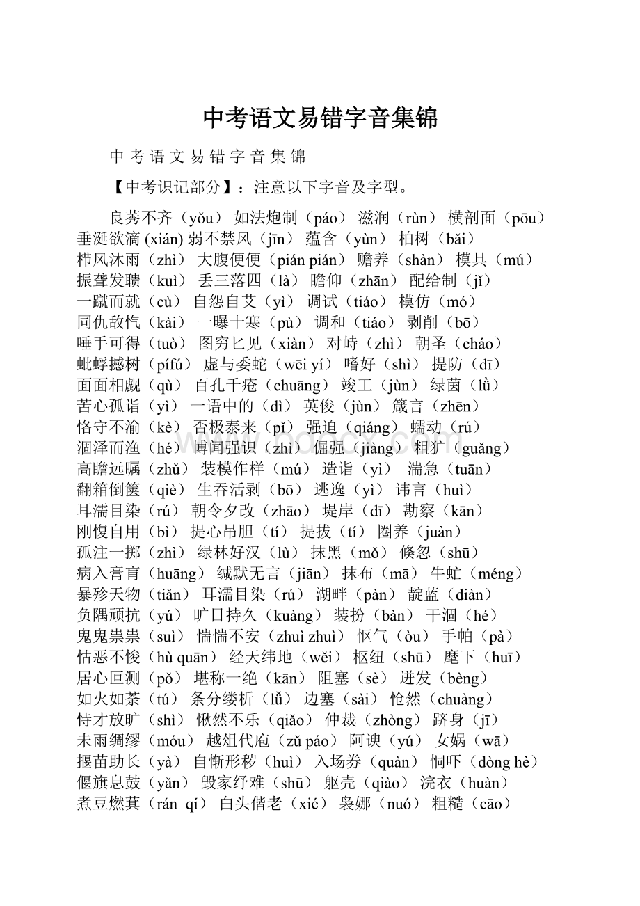 中考语文易错字音集锦.docx