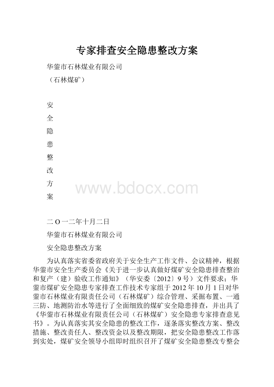 专家排查安全隐患整改方案.docx_第1页