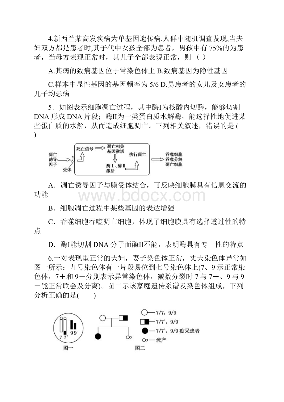 东营一中级高三上学期期中理综试题Word文件下载.docx_第2页