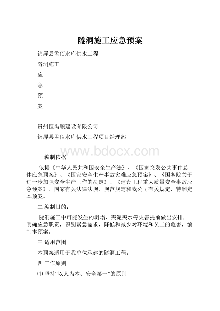 隧洞施工应急预案.docx