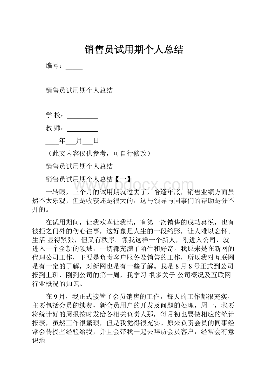 销售员试用期个人总结文档格式.docx