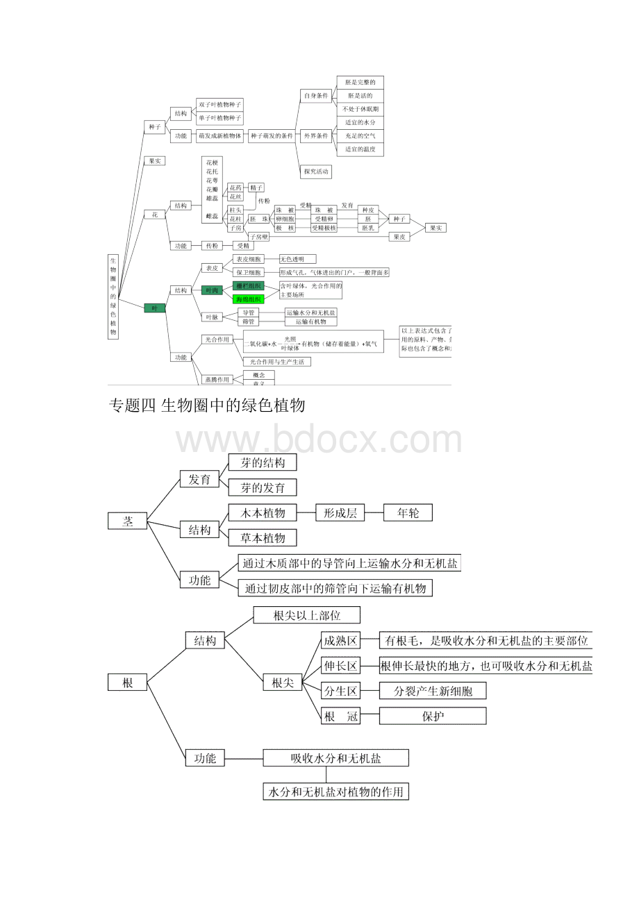 初中生物全部概念图复习过程.docx_第3页