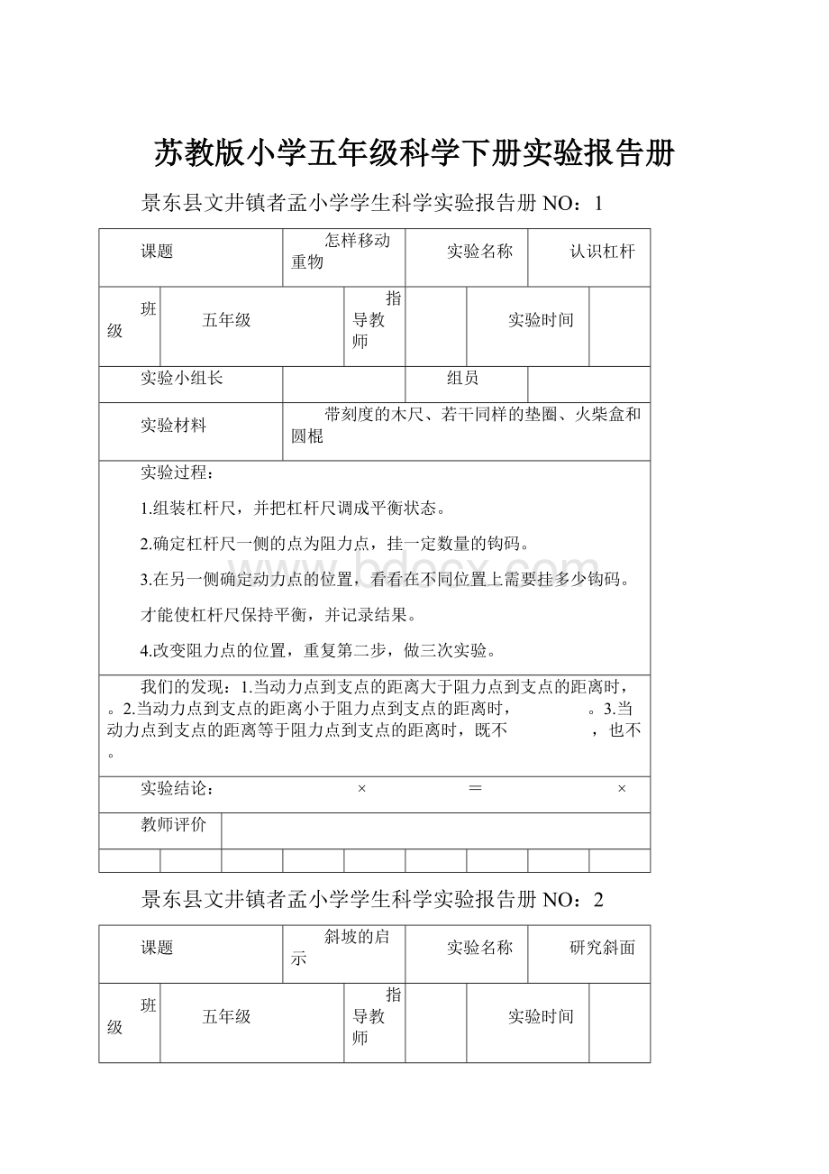 苏教版小学五年级科学下册实验报告册Word文件下载.docx