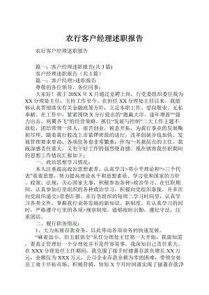 农行客户经理述职报告Word文档下载推荐.docx