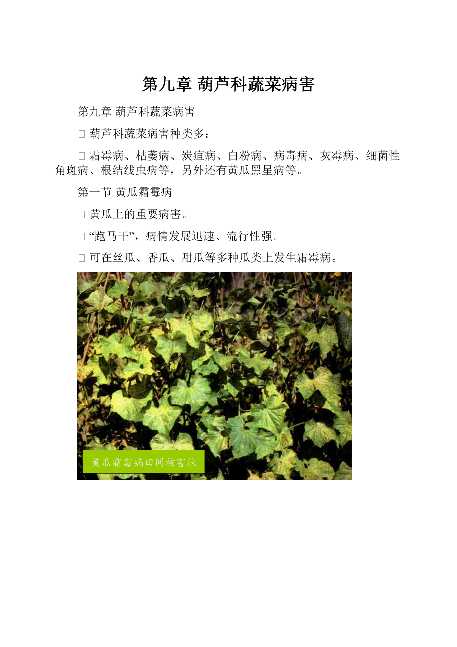 第九章 葫芦科蔬菜病害.docx