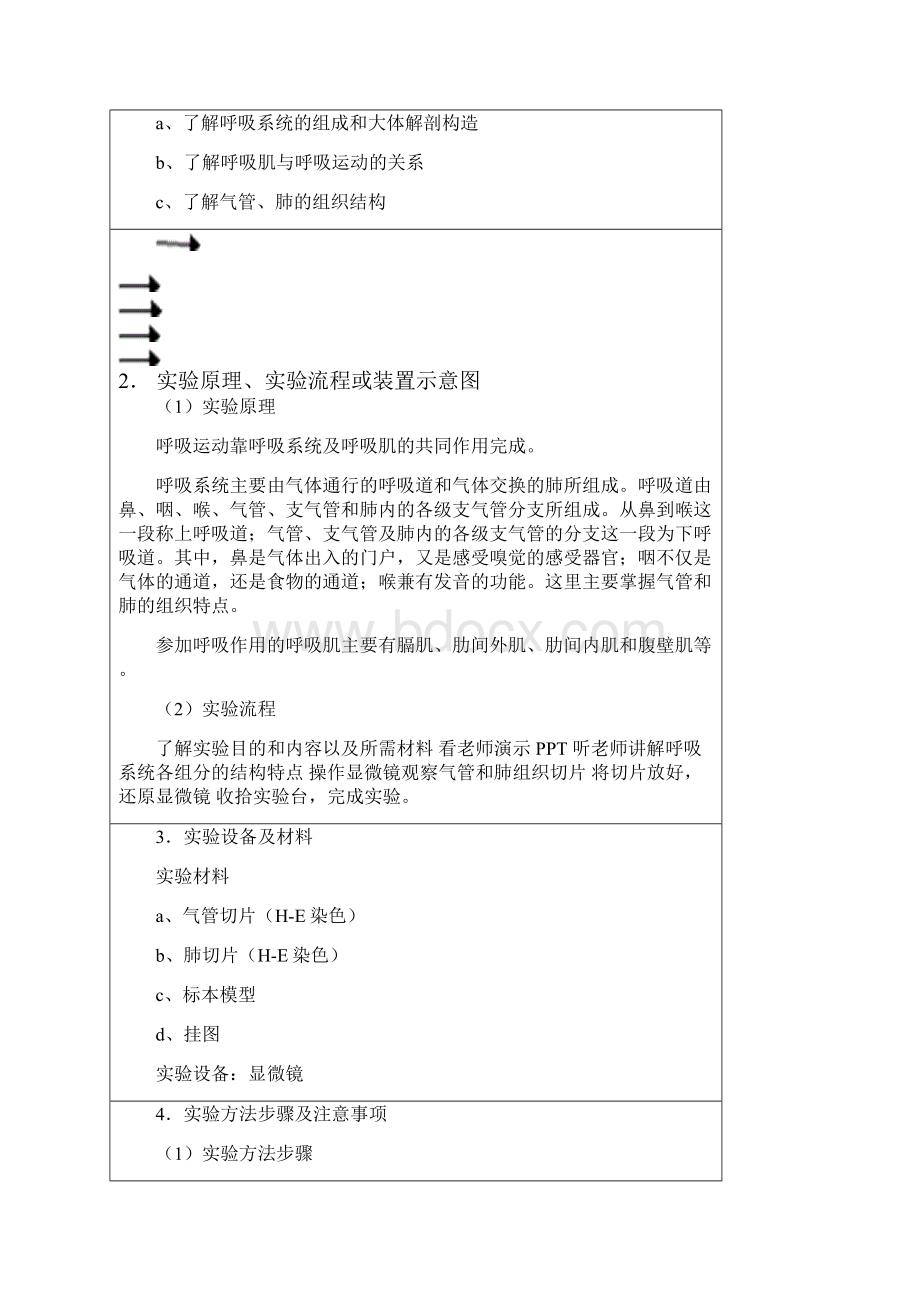 人体解剖学实验报告.docx_第2页