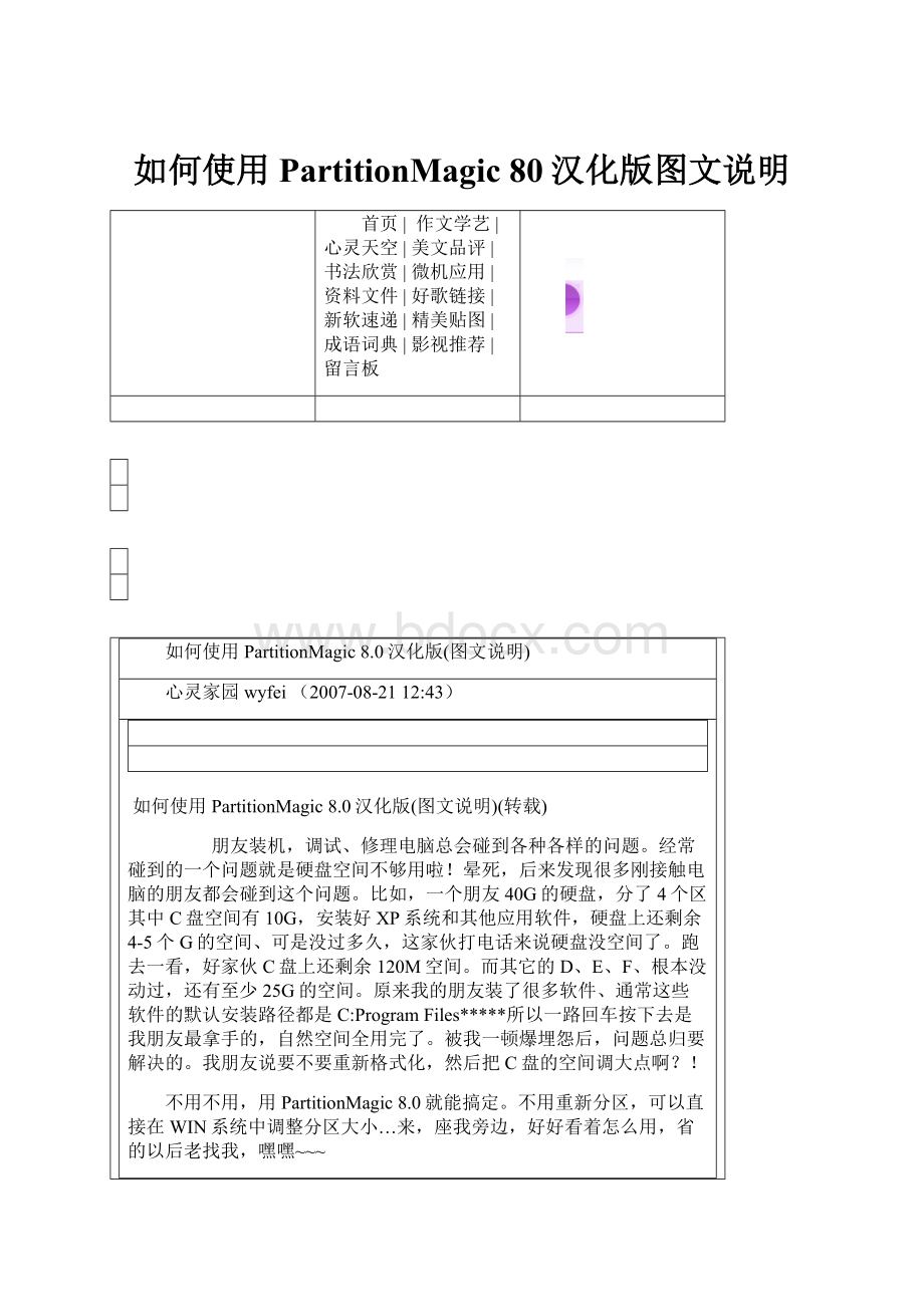 如何使用PartitionMagic 80汉化版图文说明Word文件下载.docx_第1页