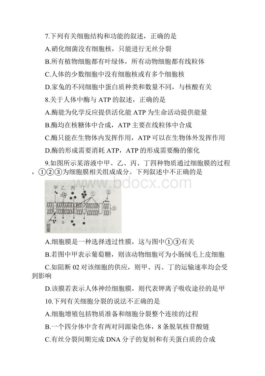 高三摸底联考全国卷生物试题 含答案文档格式.docx_第3页