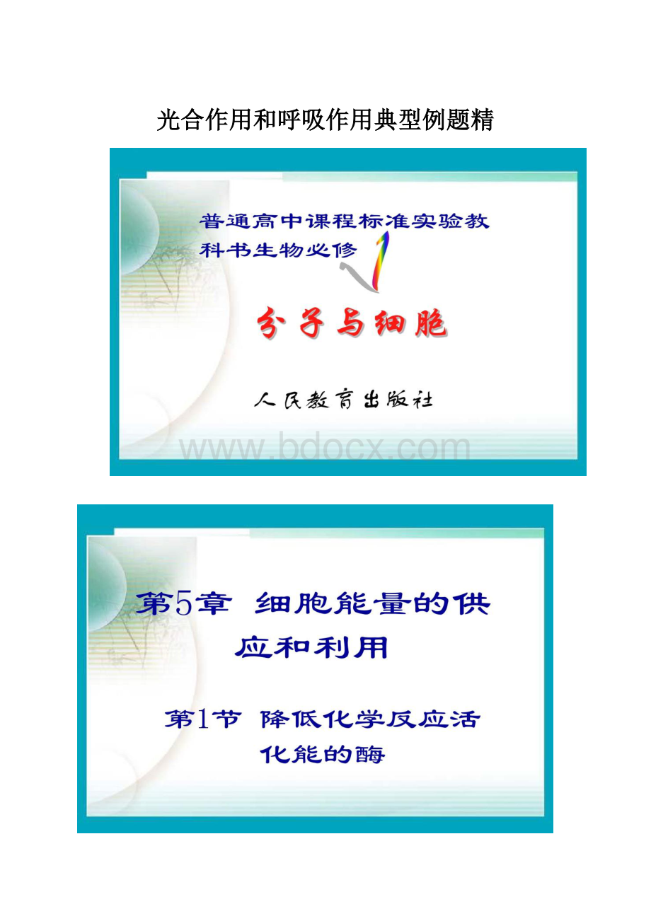 光合作用和呼吸作用典型例题精Word文件下载.docx_第1页