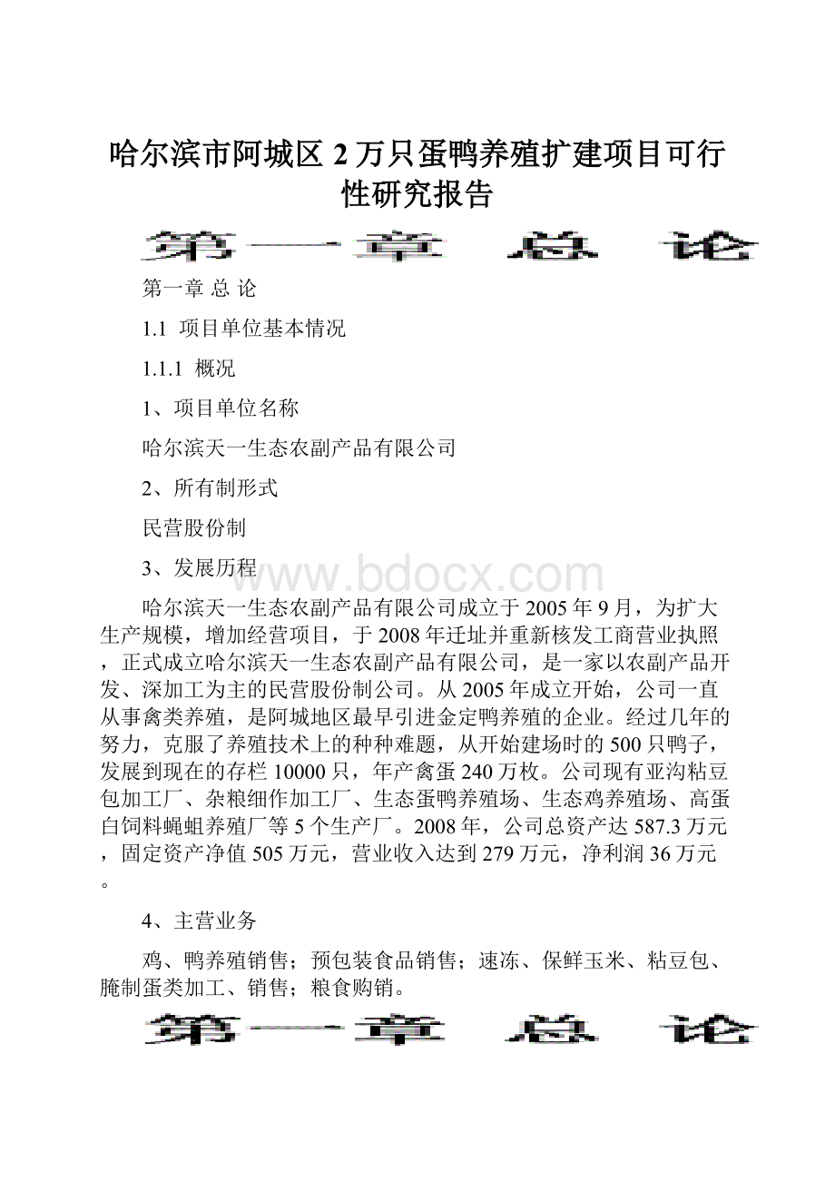 哈尔滨市阿城区2万只蛋鸭养殖扩建项目可行性研究报告Word格式文档下载.docx_第1页