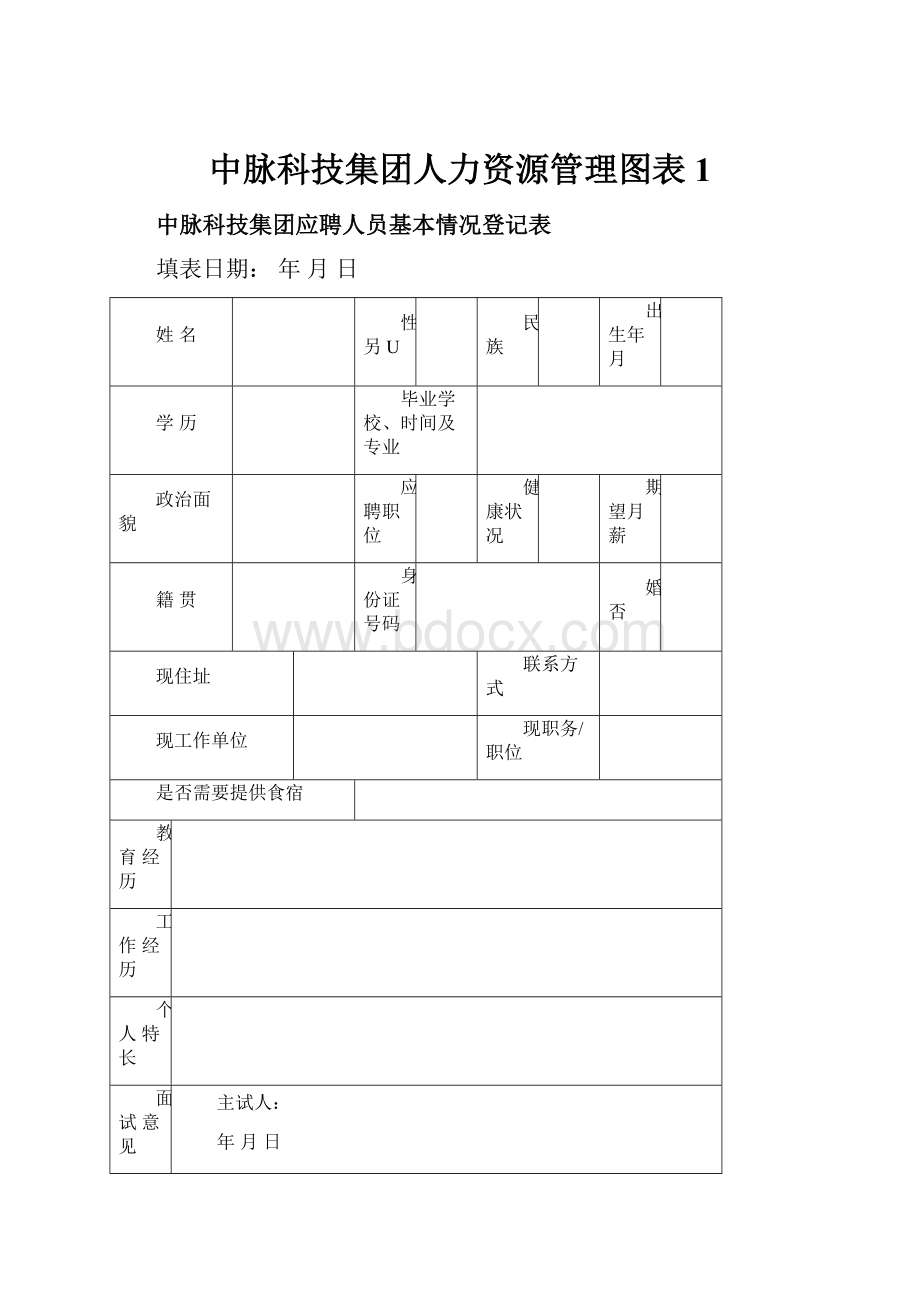 中脉科技集团人力资源管理图表1.docx