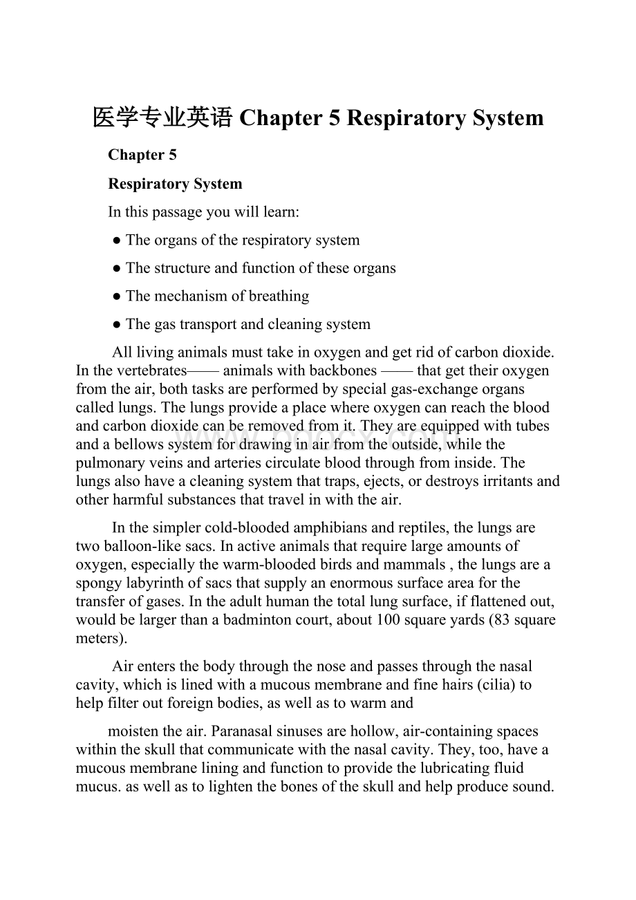 医学专业英语 Chapter 5 Respiratory System.docx_第1页