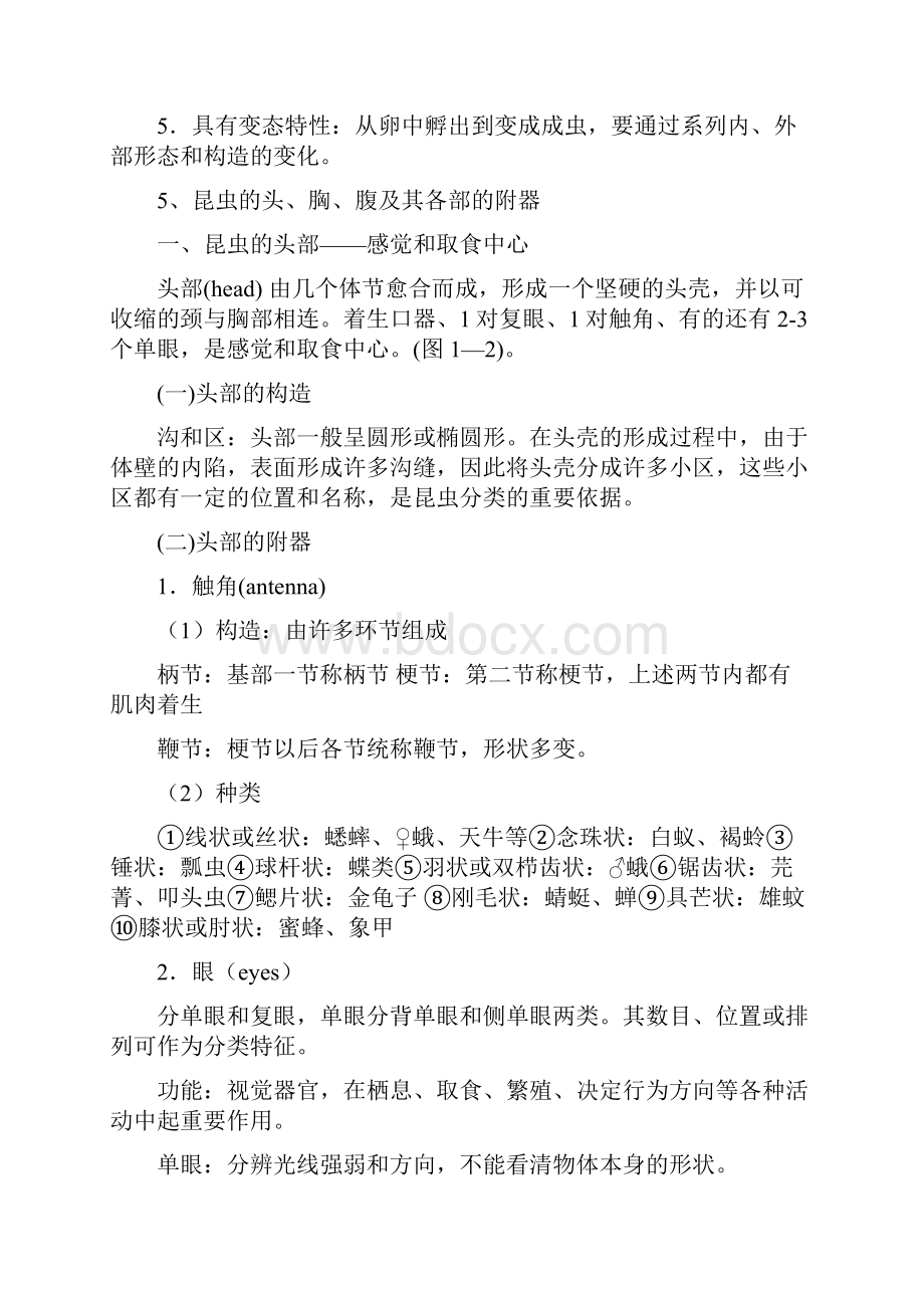 森林昆虫学复习材料重点知识.docx_第2页