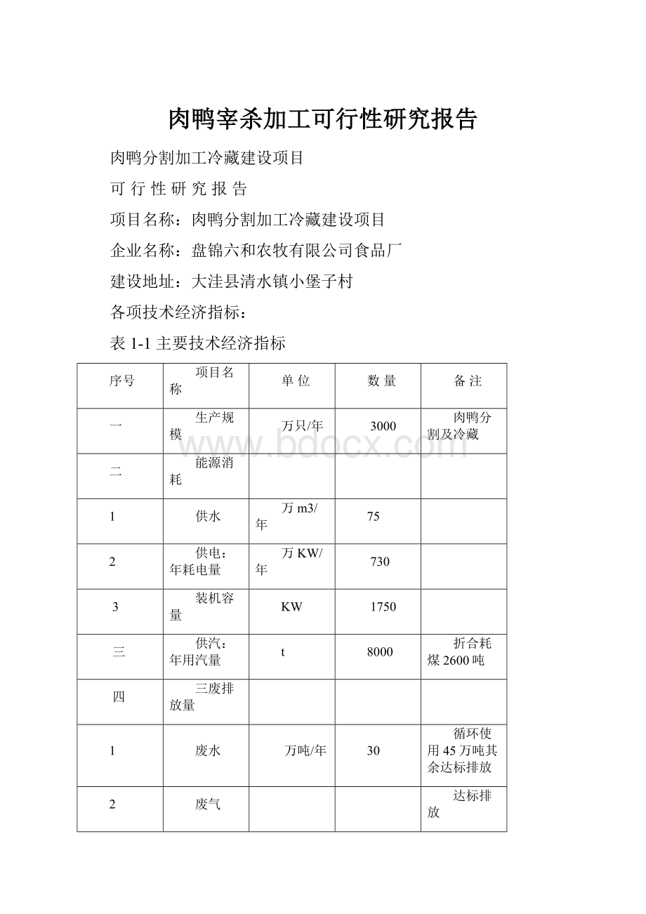 肉鸭宰杀加工可行性研究报告.docx