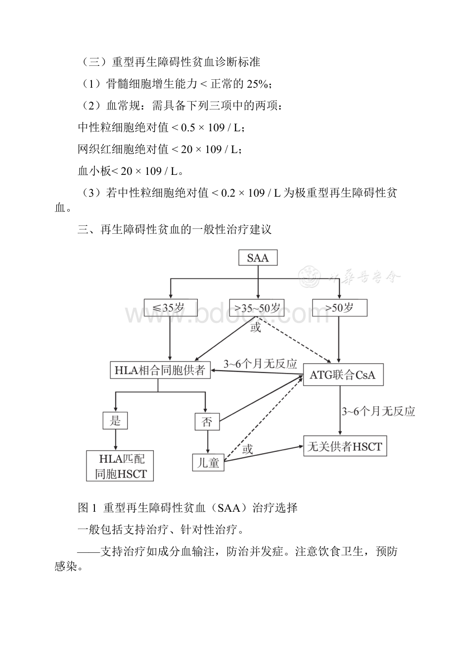 再生障碍性贫血完整版本.docx_第3页