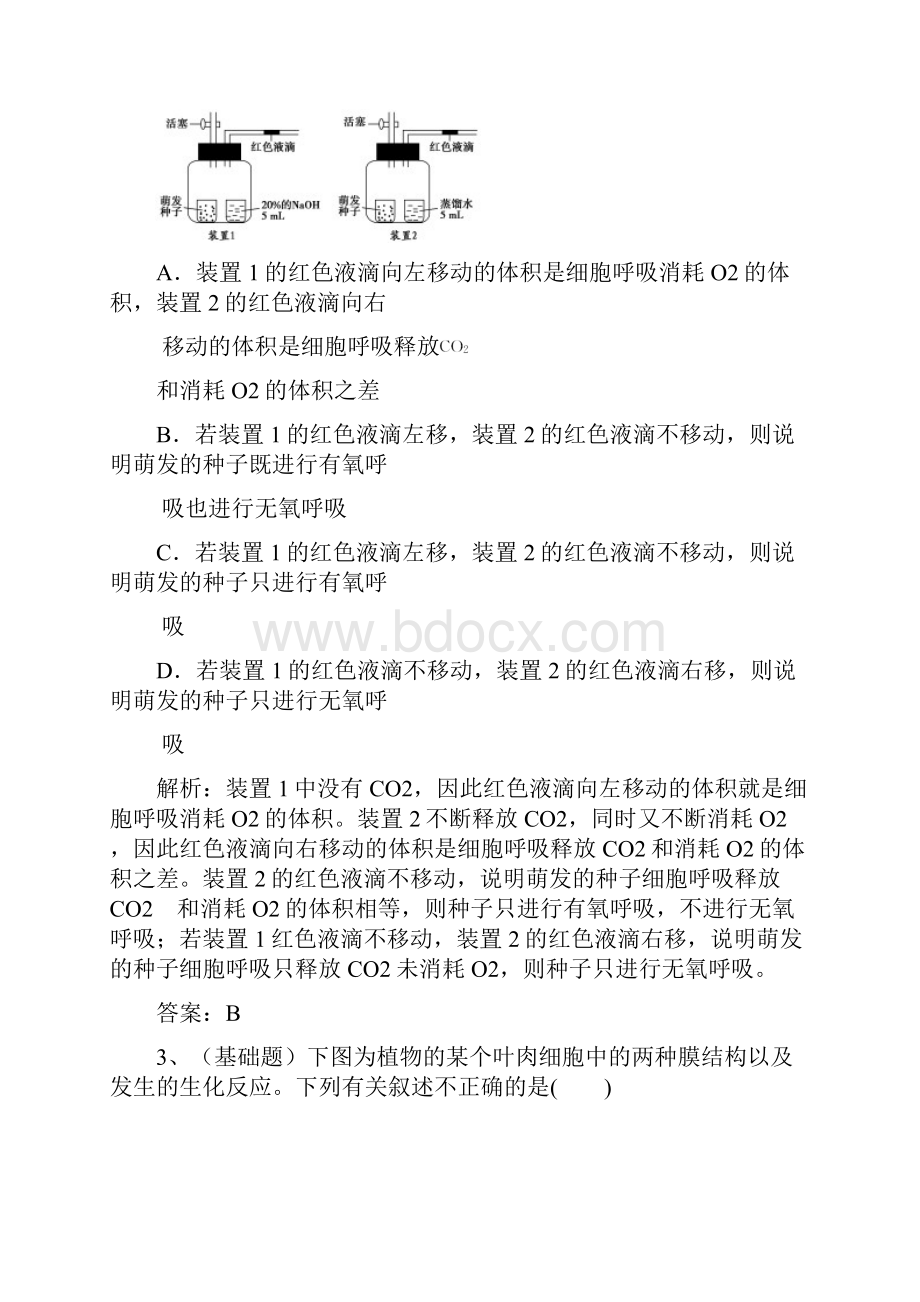 作业设计光合作用与呼吸作用模块作业设计参考答案与评分明细.docx_第2页