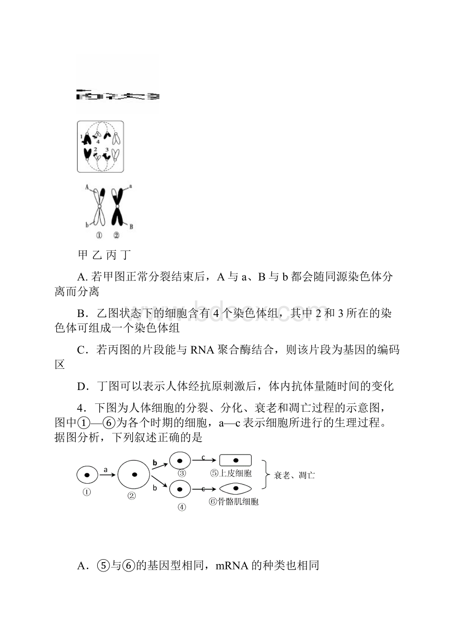 最新届安徽省安庆市六校高三第三次联考理科综合Word下载.docx_第2页