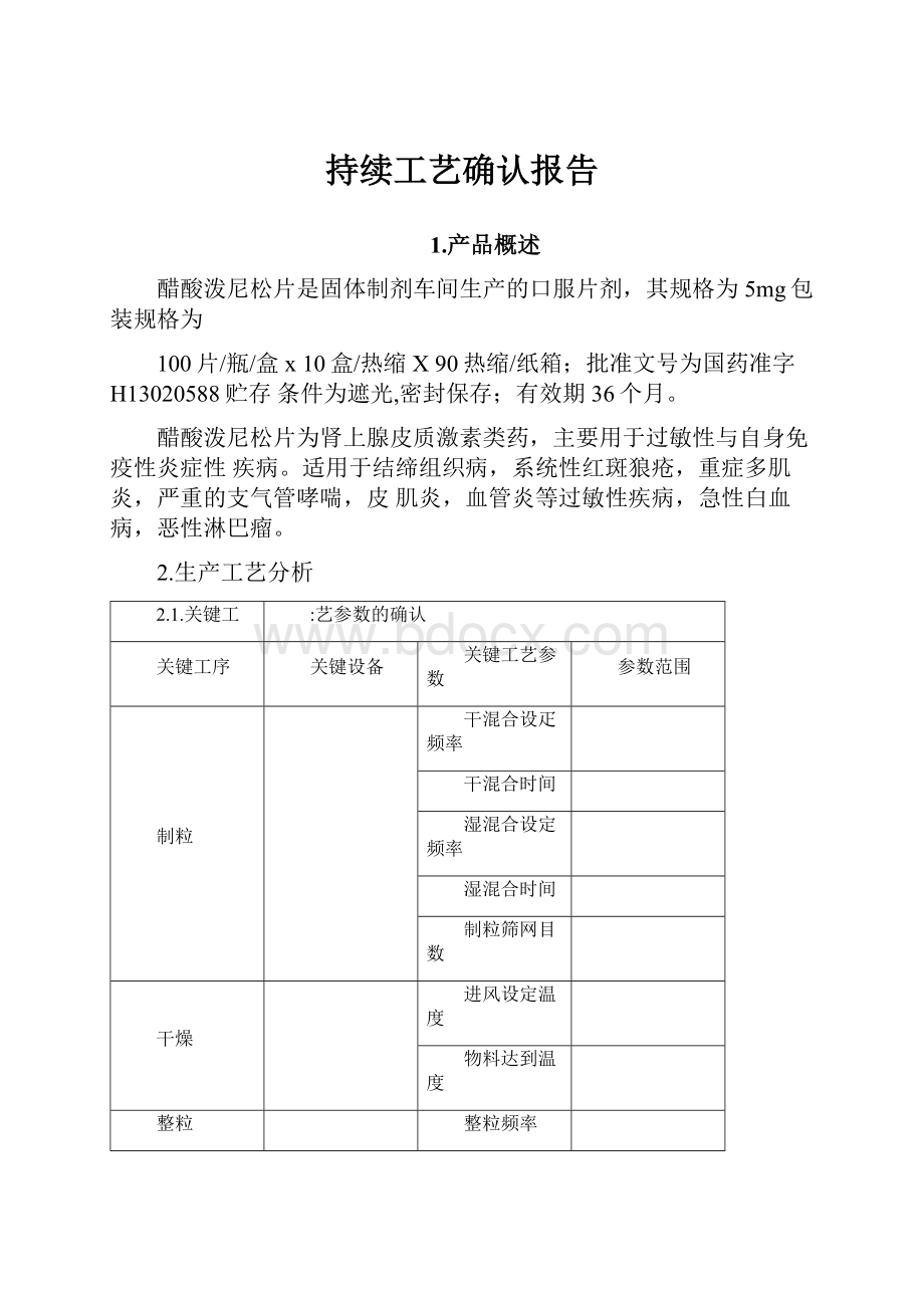 持续工艺确认报告.docx