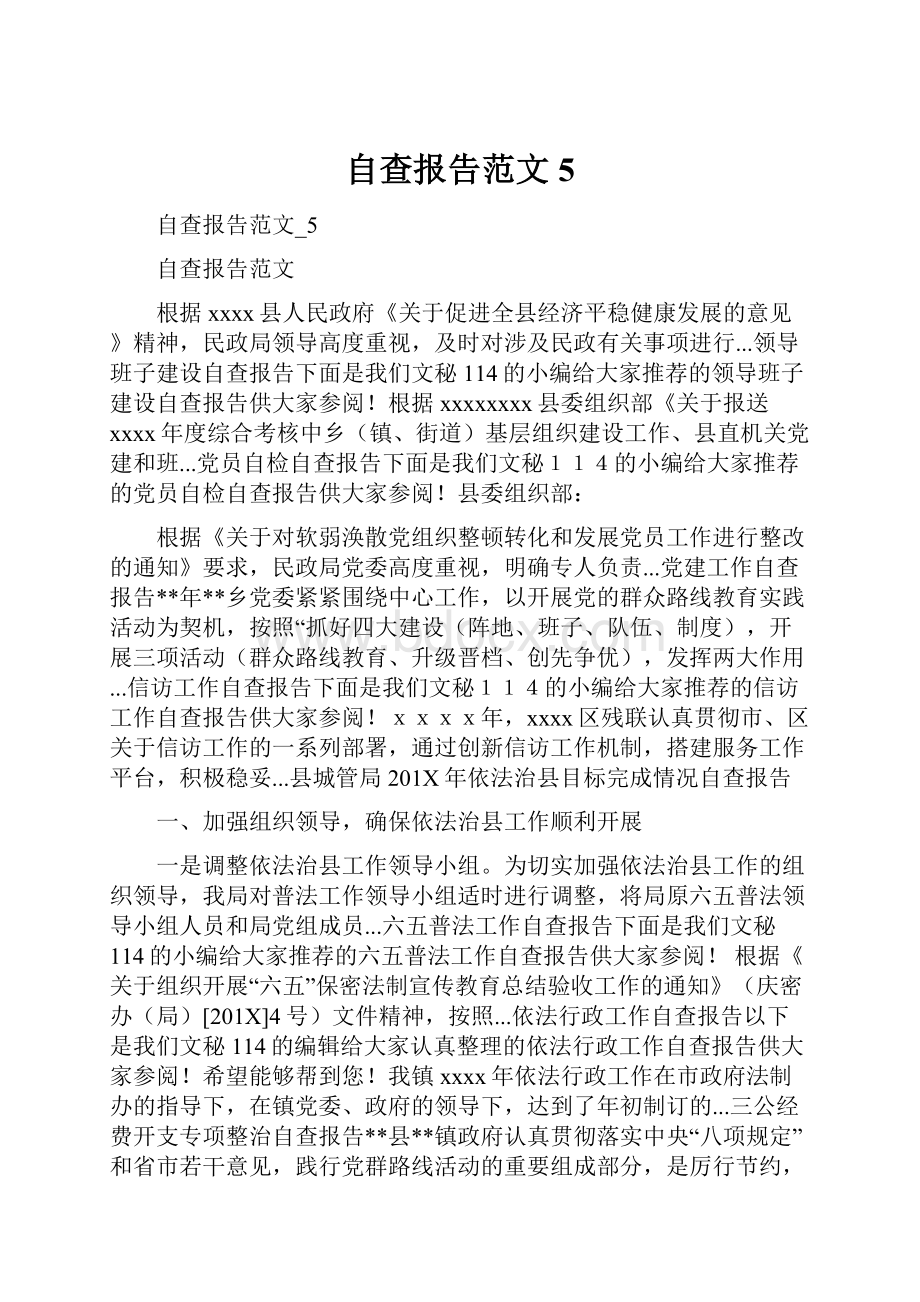 自查报告范文5Word格式文档下载.docx