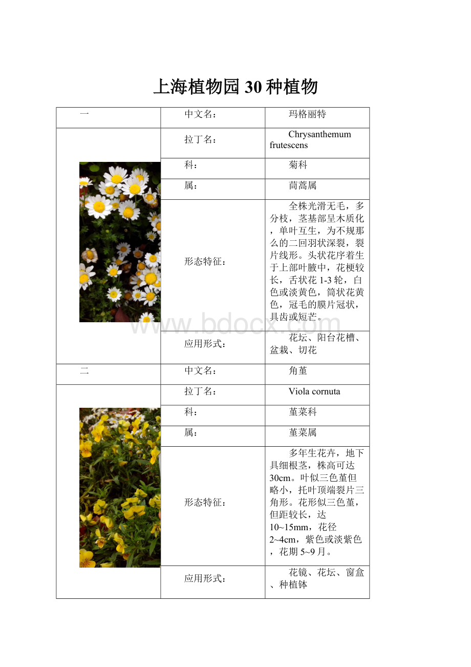 上海植物园30种植物.docx