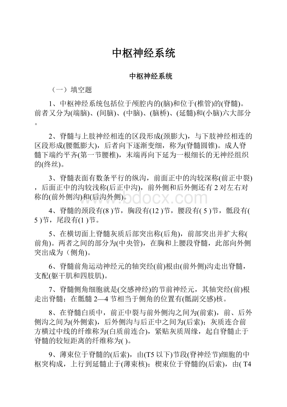 中枢神经系统Word下载.docx_第1页