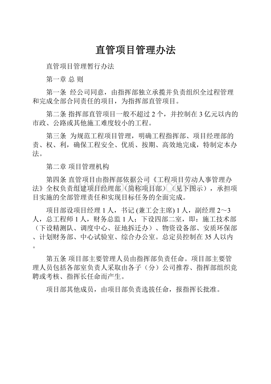 直管项目管理办法.docx_第1页