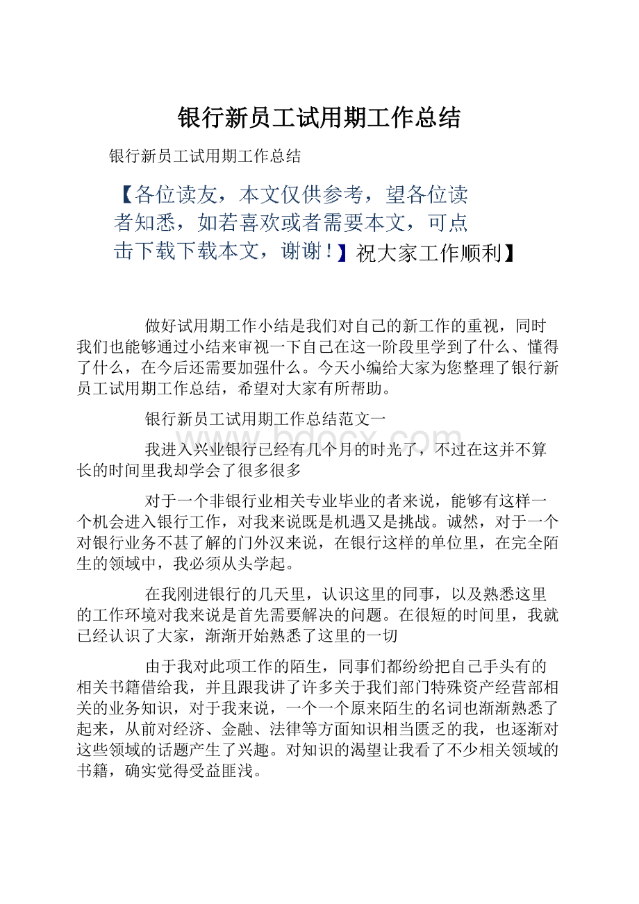 银行新员工试用期工作总结.docx