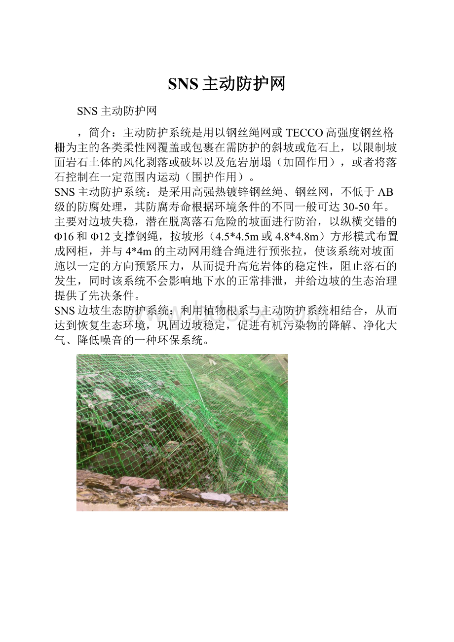 SNS主动防护网Word文档下载推荐.docx