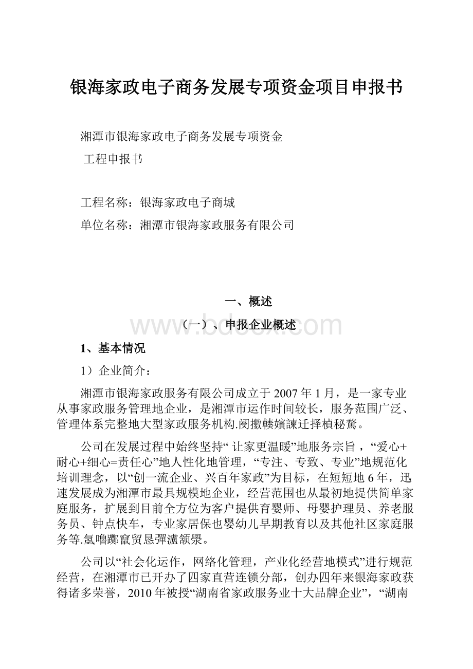 银海家政电子商务发展专项资金项目申报书Word文档格式.docx