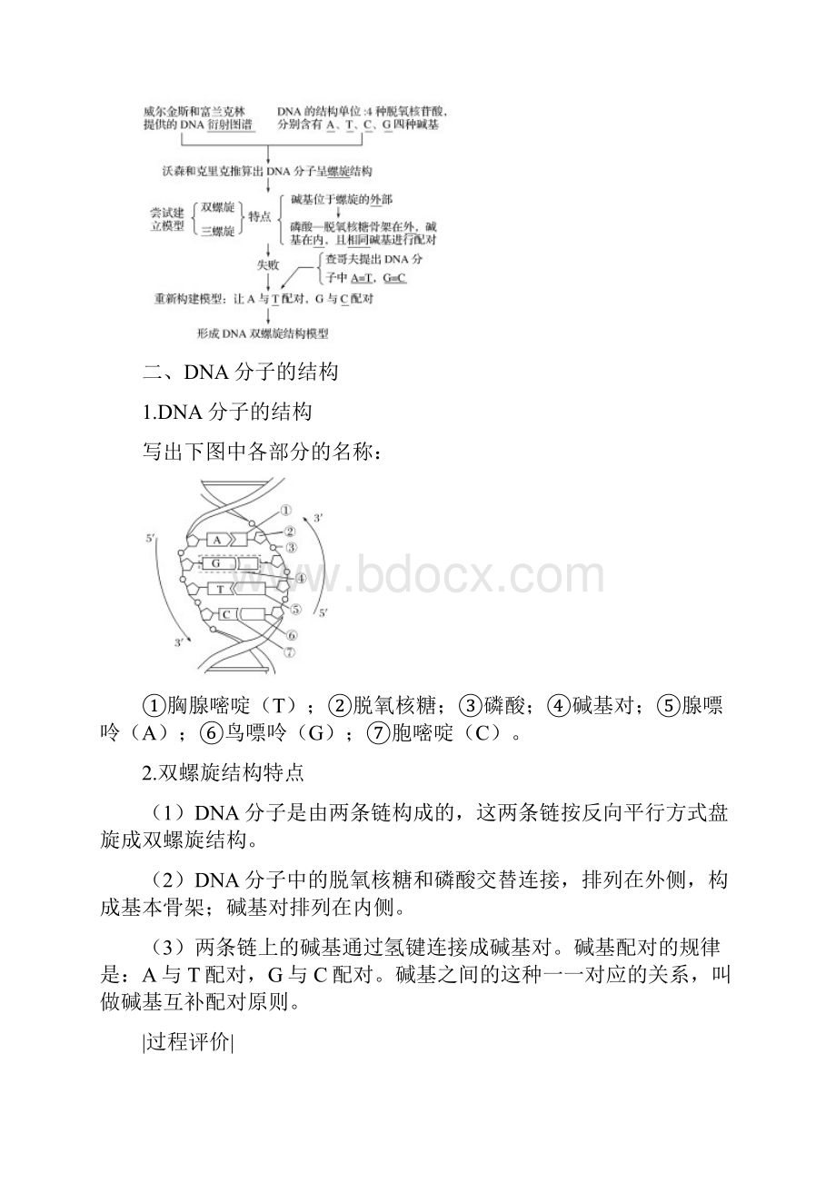 新课改地区学年高中生物 第3章 基因的本质 第2节 DNA分子的结构学案 新人教版必修2Word下载.docx_第2页