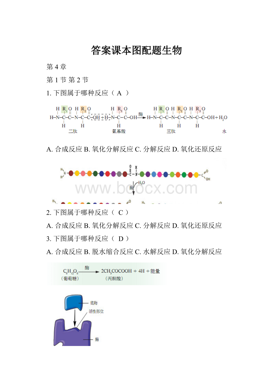 答案课本图配题生物Word下载.docx_第1页