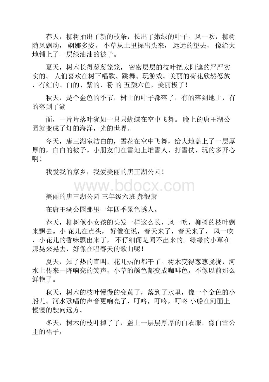 美丽的唐王湖公园.docx_第2页