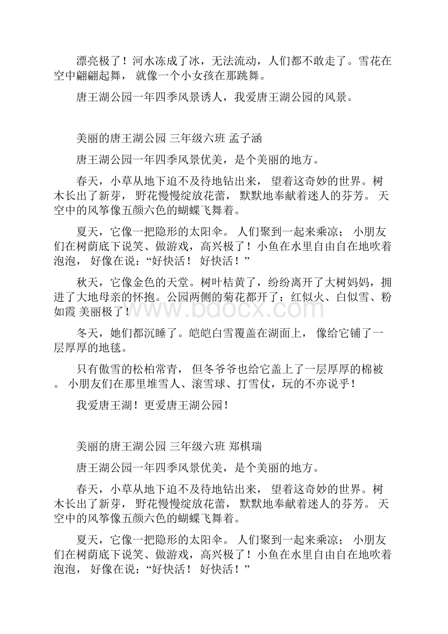 美丽的唐王湖公园.docx_第3页