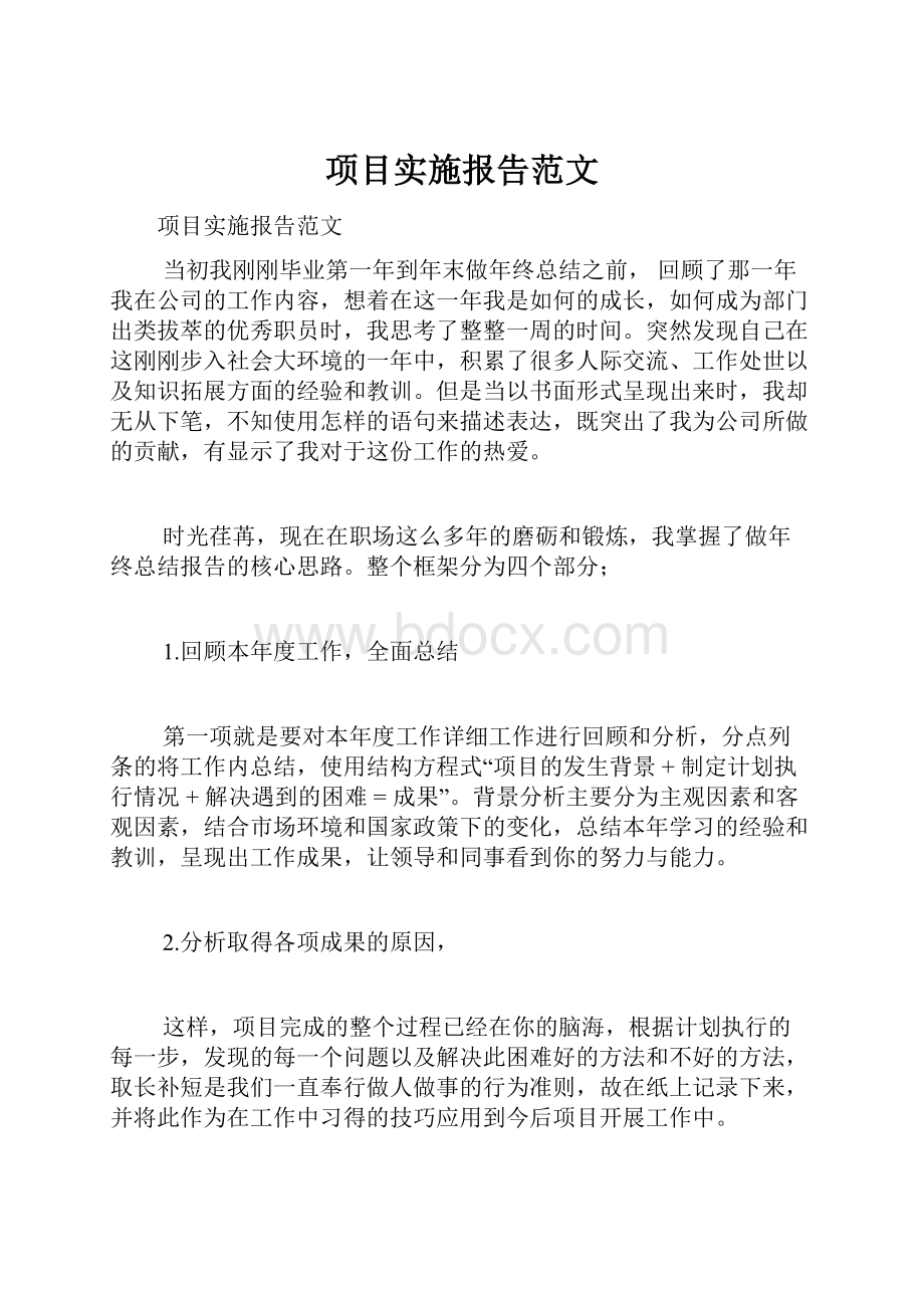 项目实施报告范文Word格式文档下载.docx