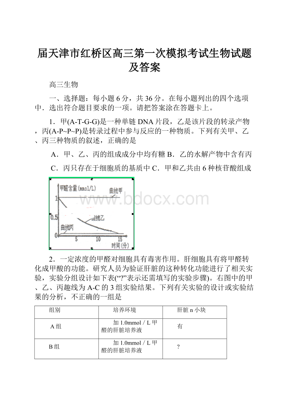 届天津市红桥区高三第一次模拟考试生物试题及答案.docx_第1页